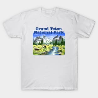 Grand Teton National Park, Wyoming T-Shirt